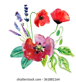 Lavender and poppy flowers. Watercolor painting.