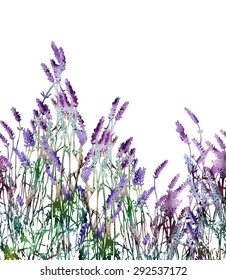 Lavender Watercolor Background Vector Delicate Floral Stock Vector ...