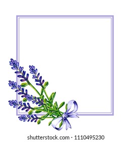 Lavender Water Color Frame 