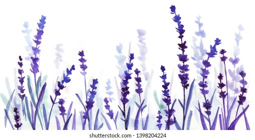 lavender watercolor banner. hand drawn illustration. flower field. Violet floral background.
