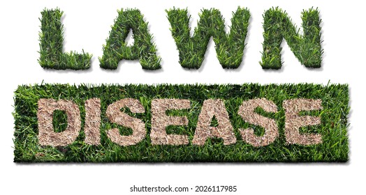 Lawn Disease Concept As Grub Damage As Chinch Larva Damaging Grass Roots Causing A Brown Patch And Drought Area In The Turf As A Composite Image On A White Background In A 3D Illustration Style.