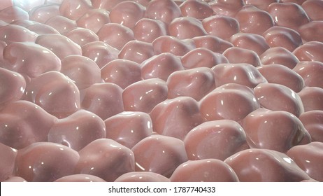 Layer Of Cells, 3D Illustration, Research Background Perfect To Illustrate Skin, Epithelium, Stem Cells, Tissues