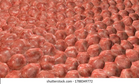 Layer Of Cells, 3D Illustration, Research Background Perfect To Illustrate Skin, Epithelium, Stem Cells, Tissues