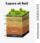 Layers of Soil diagram. Science education 3d illustration