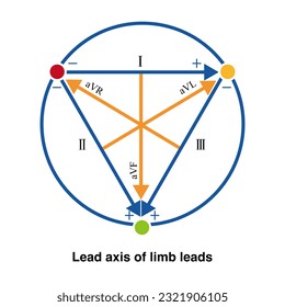 The lead axis of a standard limb lead is the three sides of an equilateral triangle, and the lead axis of a augmentedunipolar limb lead is a mid-perpendicular line.