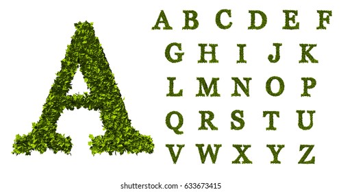 Leaf Alphabet. 3D Rendering