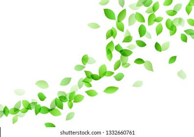 Leaf Dancing Image Background Material