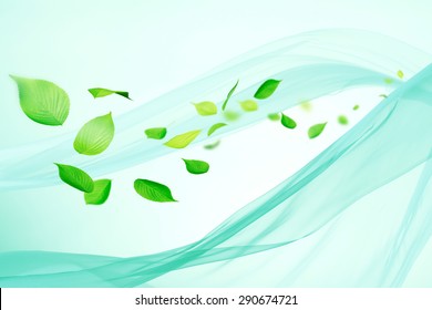 The leaf flows