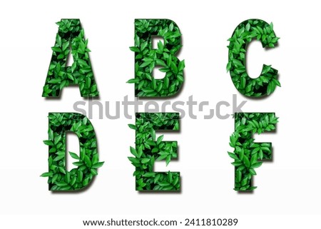Leaf font A, B, C, D, E, F isolated on white background. Leafs font A, B, C made of Real alive leaves. Leafs font.