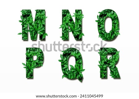 Leaf font M, N, O, P, Q, R, isolated on white background. Leafs font A, B, C made of Real alive leaves. Leafs font.