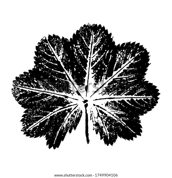 白い背景に葉のインプリントイラスト 自然の葉のインクプリント 白黒のイラスト 葉のペイントプリント 手描き のイラスト素材