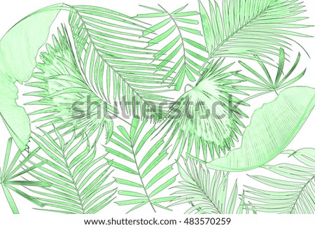 Similar – Image, Stock Photo Palm Palm leaf Growth