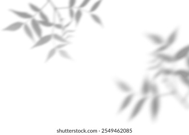 Leaf shadow overlay on white background. Shadows from branches with leaves. Overlay effect for photo, mockup, posters, wall art, design presentation. Shadow for natural light effects.