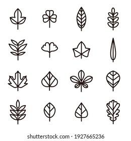 Leaf Signs Black Thin Line Icon Set Include Of Maple, Clover, Oak And Birch. Illustration Of Icons