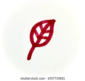 a leaf in white background