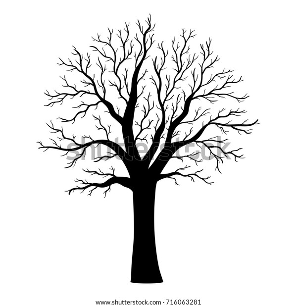 42 best ideas for coloring | Leafless Tree Silhouette