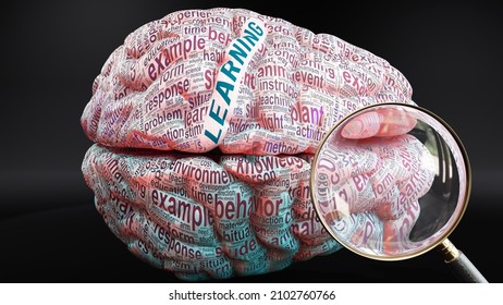 Learning in human brain, a concept showing hundreds of crucial words related to Learning projected onto a cortex to fully demonstrate broad extent of this condition, 3d illustration