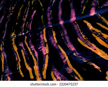 Leathers Tigers. Rainbow Mottled Pattern. Rainbow Animal Print Tiger. Zebra Fell. Colorful Ethnic Animal Print. Vivid Zebra Print Background.