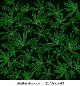 Leaves Of Lupine Plant, Pattern