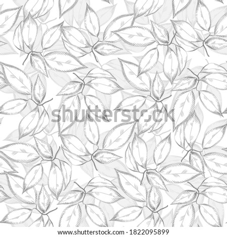 Leaves seamless pattern on white background. Engraving vintage style. Design for fabric, vintage packaging, wrapping paper. Raster illustration