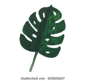 leaves. Watercolor illustration on white background.