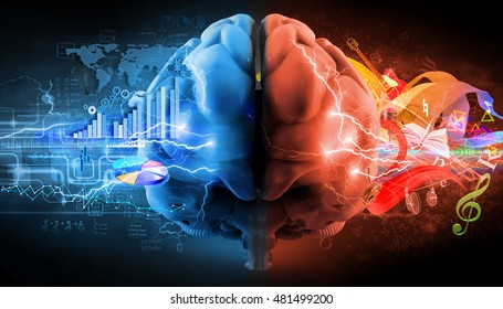 left and right brain functions; 3d illustration