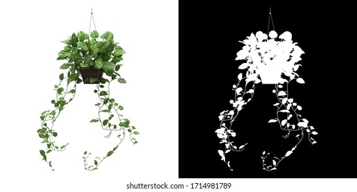 Left View Of Decorative Plant Png Alpha Channel Cutout 3D Rendering