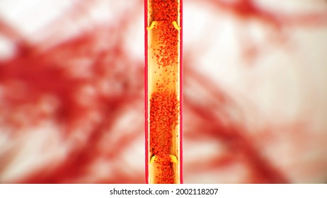 Leg vein anatomy, venous valve function, blood flow, erythrocytes, human anatomy, 3d illustration