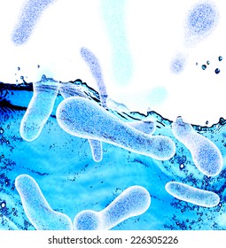 Legionella Bacteria 