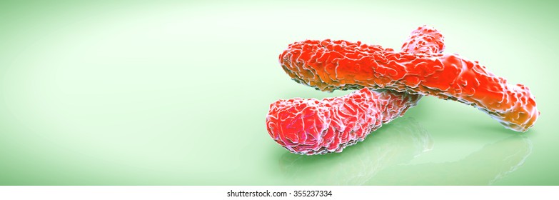 Legionella Bacteria 