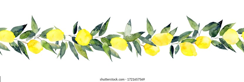 Lemon Branch Seamless Border. Hand Drawn Floral Decoration. Watercolor Illustration