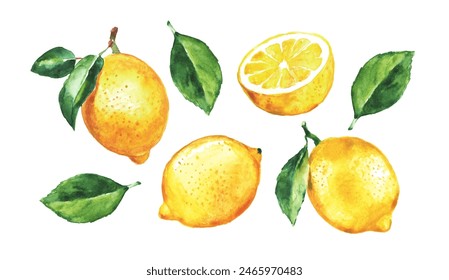 Lemon on a transparent background , citron, watercolor illustration, lime , yellow fruit, lemons and leaves, citrus	