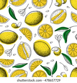 Lemon Seamless Pattern. Artistic Colorful Background. Tropical Summer Citrus Fruit. Detailed Food Drawing. Great For Summer Decor Or Detox Program