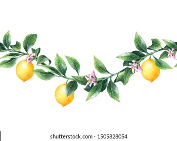 Lemon Tree Branches Seamless Border Isolated Stock Illustration ...