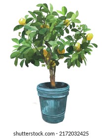 Lemon Tree Isolated On White. Watercolor Home Plant Illustration. Citrus Plant In A Pot. Lemon Taste Or Aroma Concept.