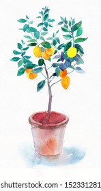 Lemon Tree, Watercolor