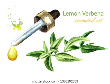 Lemon Verbena Essential Oil Drop. Watercolor Hand Drawn Illustration, Isolated On White Background