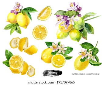 Lemons big set composition watercolor illustration isolated on white background