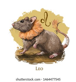 Leo Creative Digital Illustration Of Astrological Sign. Rat Or Mouse Symboll Of 2020 Year Signs In Zodiac. Horoscope Fire Element. Logo Sign With Lion Head. Graphic Design Clip Art For Web And Print