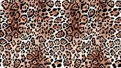 Leopard Animal Skin Abstract Illustration Seamless Pattern Texture. Safari Wild Elements On Brown Colors. 