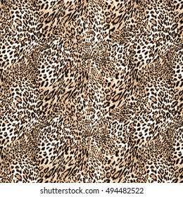 Leopard Background Or Texture