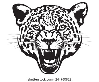 Leopard Head illustration