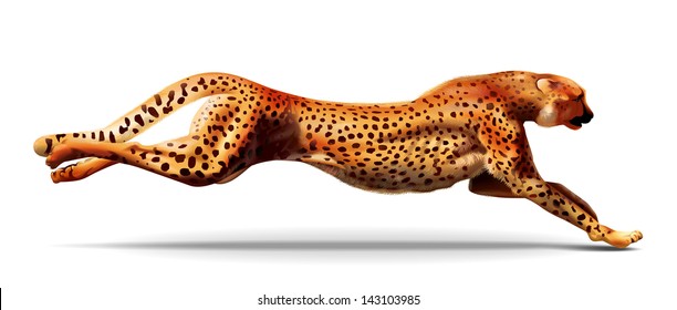 Leopard In A Jump. Detailed Illustration, For More Details Traced Wool