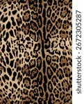 leopard pattern abstract design, animal pattern, leopard skin texture background, modern fashion print,
