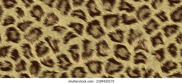 Leopard Pattern, High Resolution Illustration Background