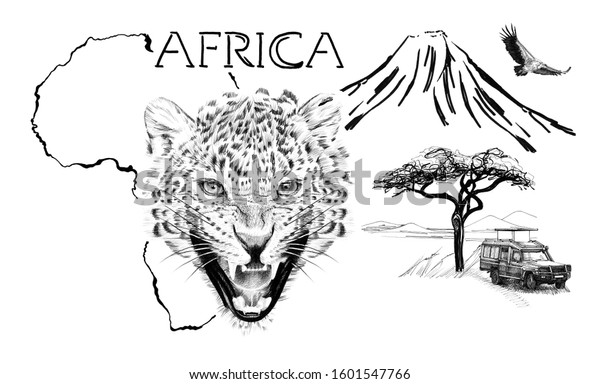 Leopard portrait on Africa map background\
with Kilimanjaro mountain, vulture and car. Collection of hand\
drawn illustrations (originals, no\
tracing)