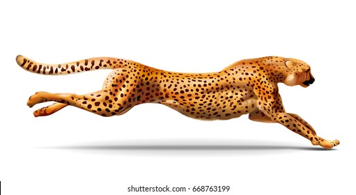 Leopard Is Running. Detailed Illustration