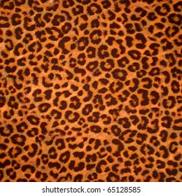 Leopard skin background or texture. Large resolution