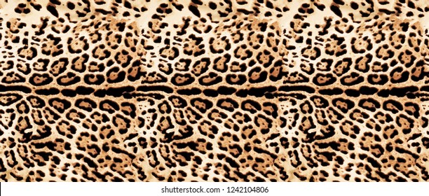 Leopard skin, leopard fur, leopard texture