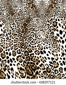 4,106 Small skin leopard Images, Stock Photos & Vectors | Shutterstock